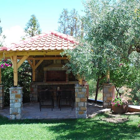 Family House Emerald Limenaria  Extérieur photo
